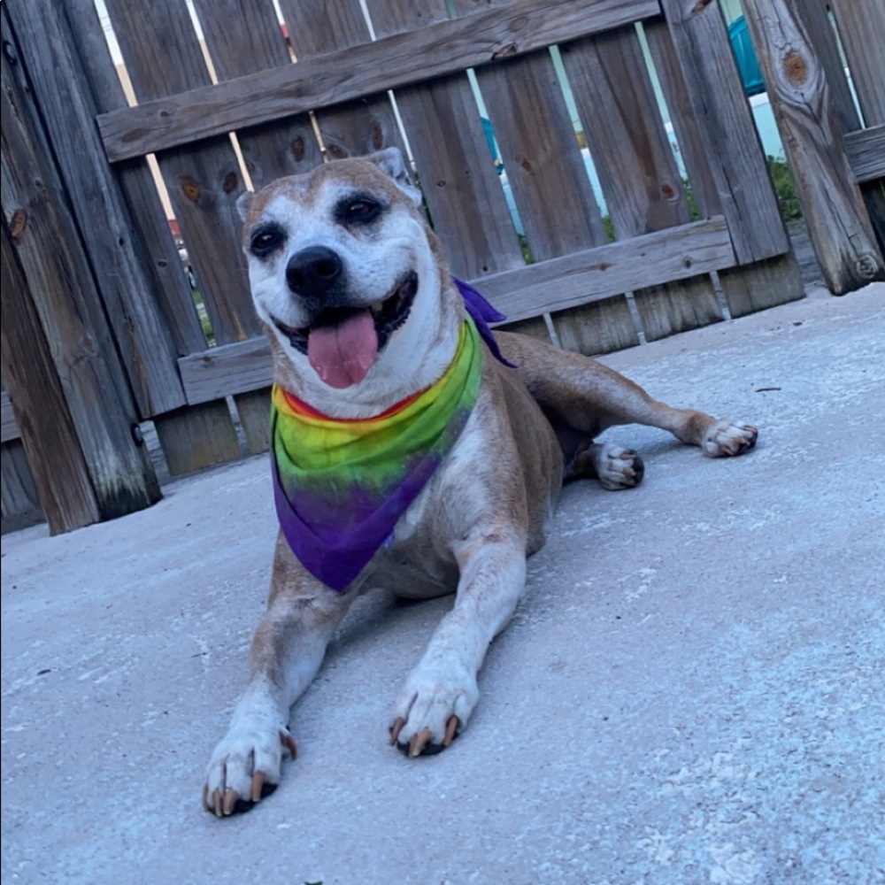 Meet your Posher, Steph